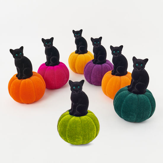 Small Flocked Cat on Colorful Pumpkin