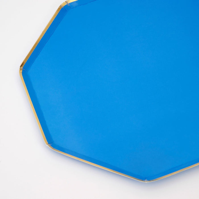 Bright Blue Side Paper Plates