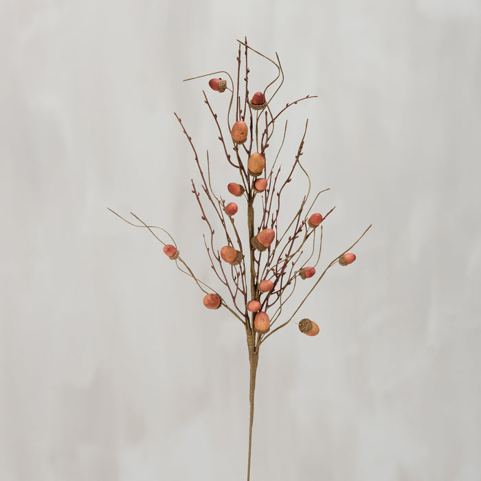 Acorn Branch