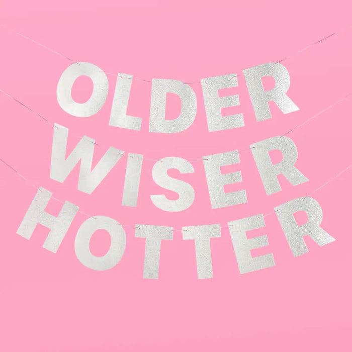 Birthday Party Banner