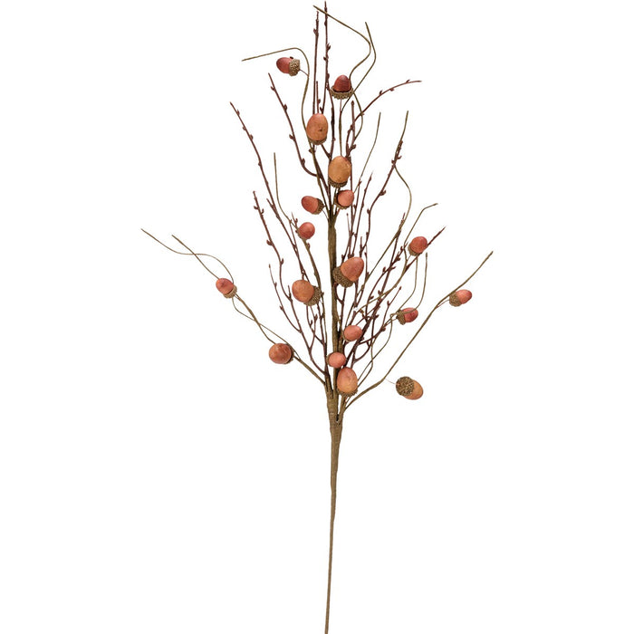 Acorn Branch