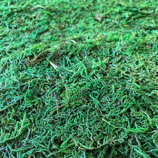 Moss Table Runner Green
