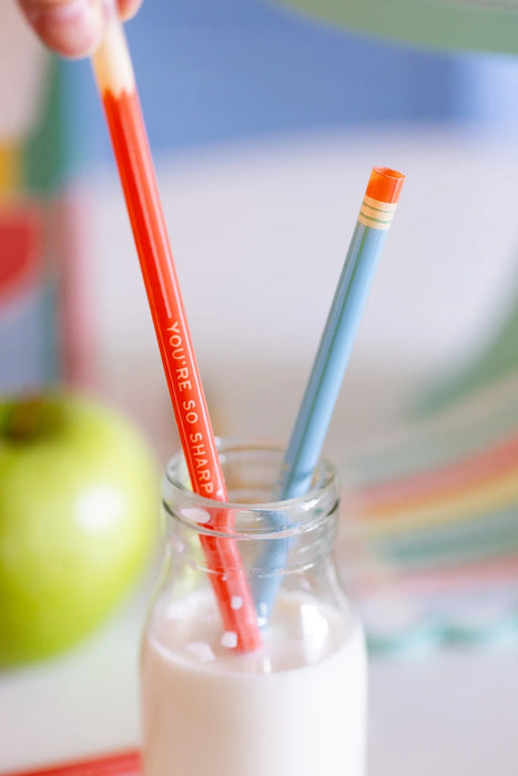 Colored Pencil Reusable Straws