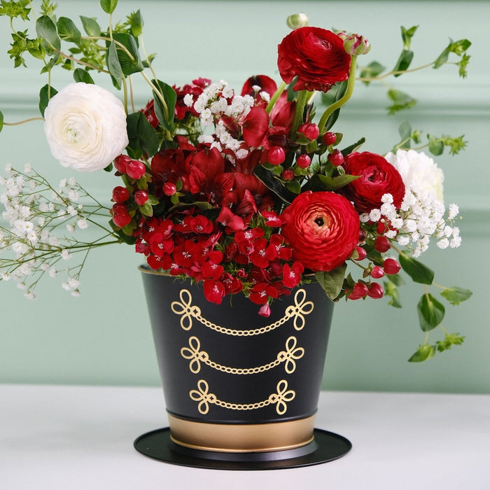 Nutcracker Hat Plant Set