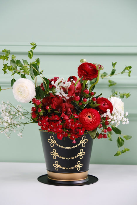 Nutcracker Hat Plant Set