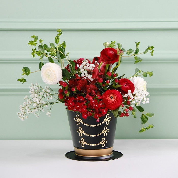 Nutcracker Hat Plant Set