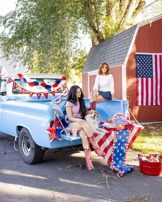 America Felt Pennant Banner