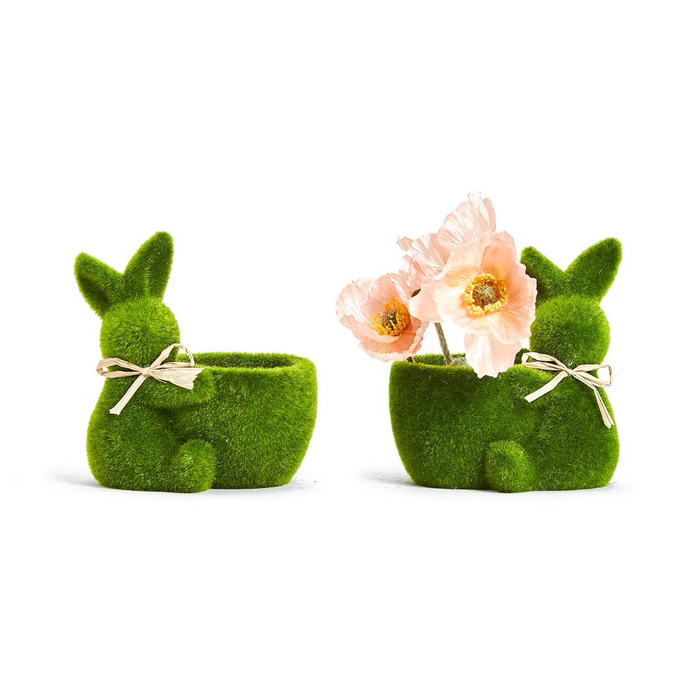 Ear-resistible Mossy Planters