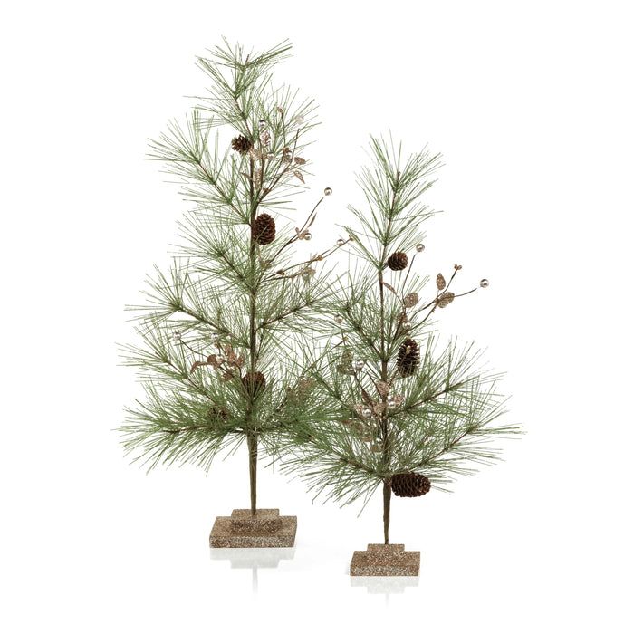 Needle Pine Tree with Pine Cones