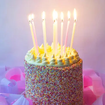 Rainbow Pastel Birthday Candles- 16 Pack