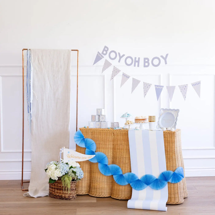Baby Blue Banner