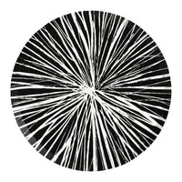 Reverse Black Radiance Dinner Plates