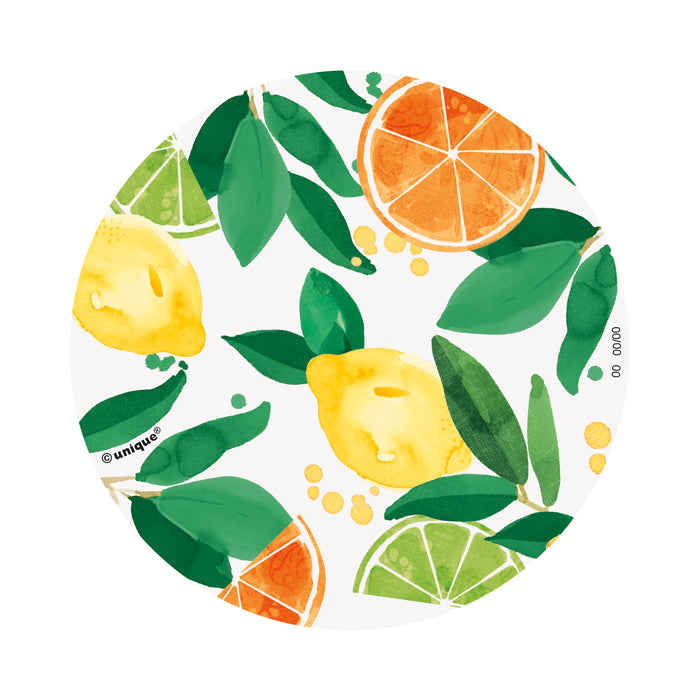 Citrus Fruit Coasters