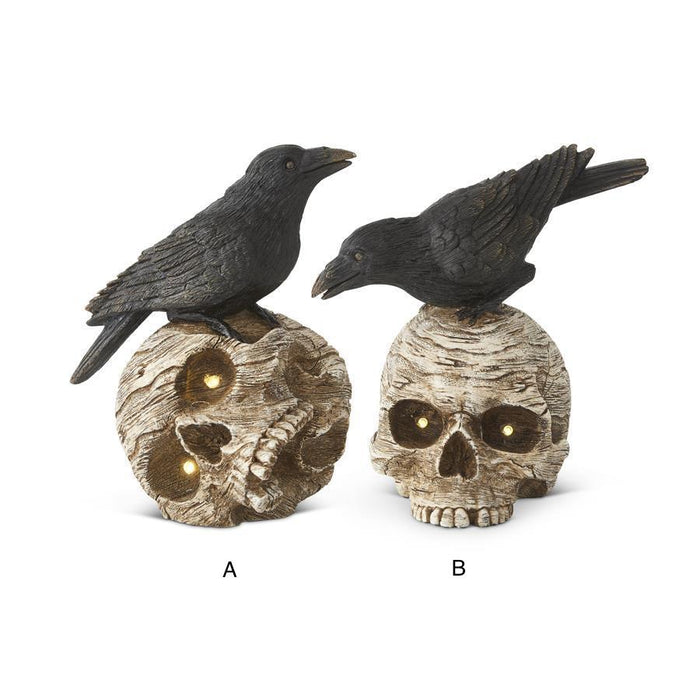 Skull With Crow