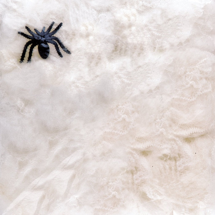 Stretchable Spider Web & Spider
