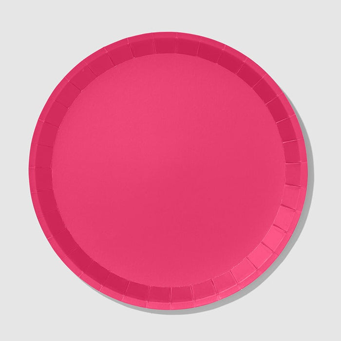 Hot Pink Dinner Paper Plates