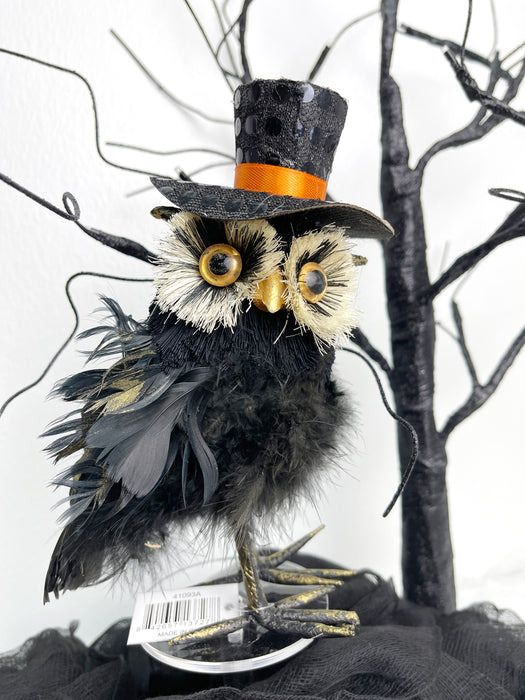 Black Feather Owls with Hats