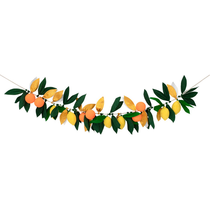 Citrus Fruit Garland