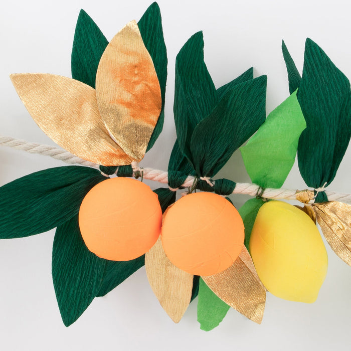 Citrus Fruit Garland